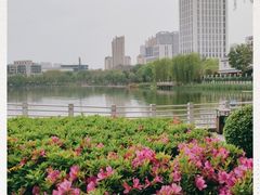 -后襄河公园
