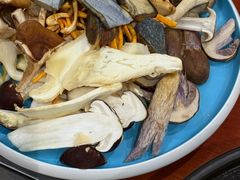-菌之家·专业纯野生菌火锅·特色炒菌