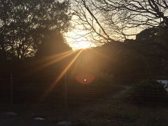 -长兴岛郊野公园农场食堂