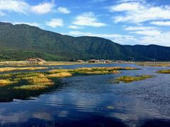 -腾冲北海湿地