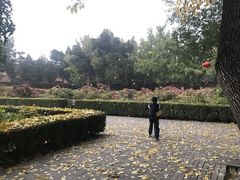 景点-景山公园