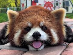 -常州淹城野生动物世界