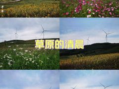 -草原天路(张北县)