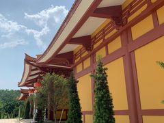 -三水森林公园
