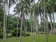 -中国科学院西双版纳热带植物园