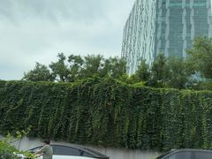 -北京希尔顿逸林酒店