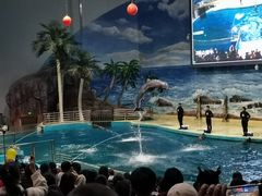 -福州罗源湾海洋世界旅游区