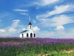 android_upload_pic-北京东方普罗旺斯薰衣草庄园