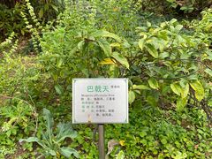 -广州神农草堂中医药博物馆