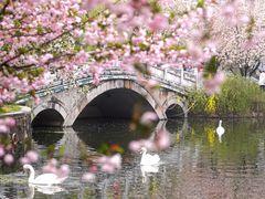 -莫愁湖公园