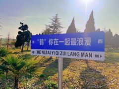 -盐城丹顶鹤湿地生态旅游区
