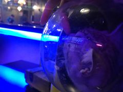 -西街夜油条·麻团包乌饭