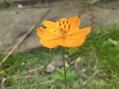 -洪湖家庭农场·团建·露营·会议