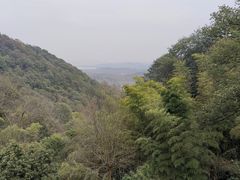 -韬光茶庵