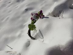 -终南山国家森林公园