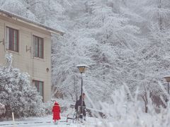 -四明山国家森林公园