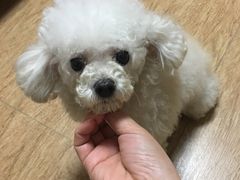 -北京佳信宠物医院