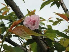 -金山公园