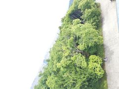 -平湖九龙山旅游度假区