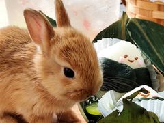 -大象厨房(重庆道店)