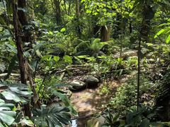 -中国科学院西双版纳热带植物园