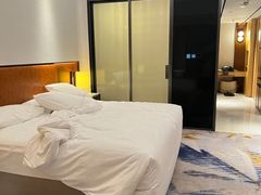 -广州奥园喜来登酒店