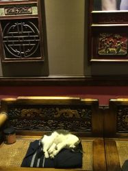 -汉刺青TATTOO STUDIO