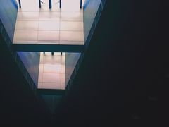 -重庆市奥林匹克体育中心-游泳跳水馆