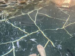 -观唐（国际）度假村温泉