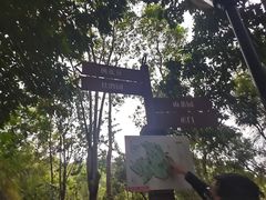 -中山市树木园