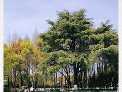 -瀛洲公园