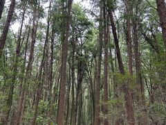 -同里国家湿地公园