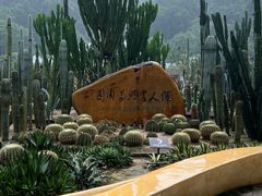 -深圳仙湖植物园