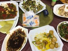 -品雅轩农家乐