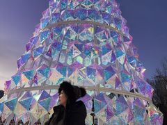 -沈阳奥体冰雪嘉年华