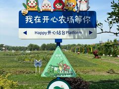 -苏州太湖西山岛开心农场
