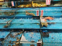 水产区-渔人湾码头海鲜市场负二楼