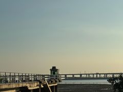 -宝安西湾红树林湿地公园