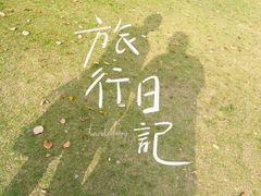 -上海滨江森林公园