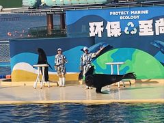 -秦皇岛乐岛海洋王国