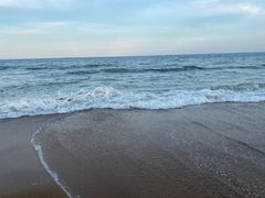 -日照海滨国家森林公园