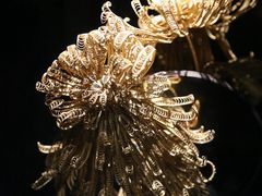 -中国地质博物馆