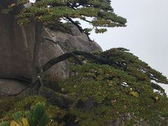 -老赵面店(大西路店)