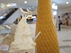 -野人先生Gelato(上海长宁龙之梦店)