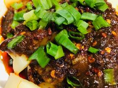 黄凉粉-洞子口张老二凉粉(文殊院店)