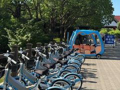 -上海海湾国家森林公园