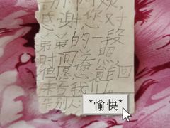 -爱月宝月嫂·育儿嫂