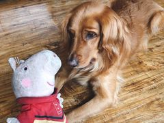 -兰纳泰式spa(古城店)