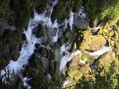香溪源风景区-神农架香溪源景区