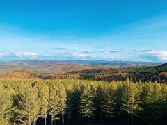 -塞罕坝国家级自然保护区